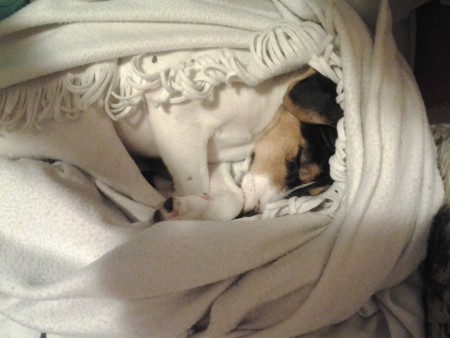 Daisy álomországban! 