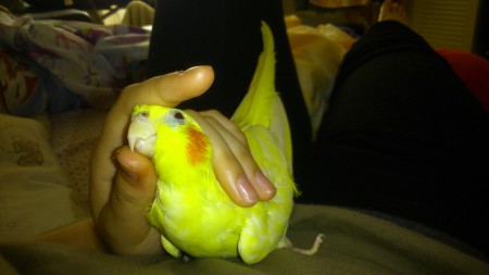 Pepi neki is jár a kényeztettés!