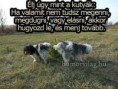 /album/fenykepgaleria/a601126-398872913482142-97454851-n-jpg/